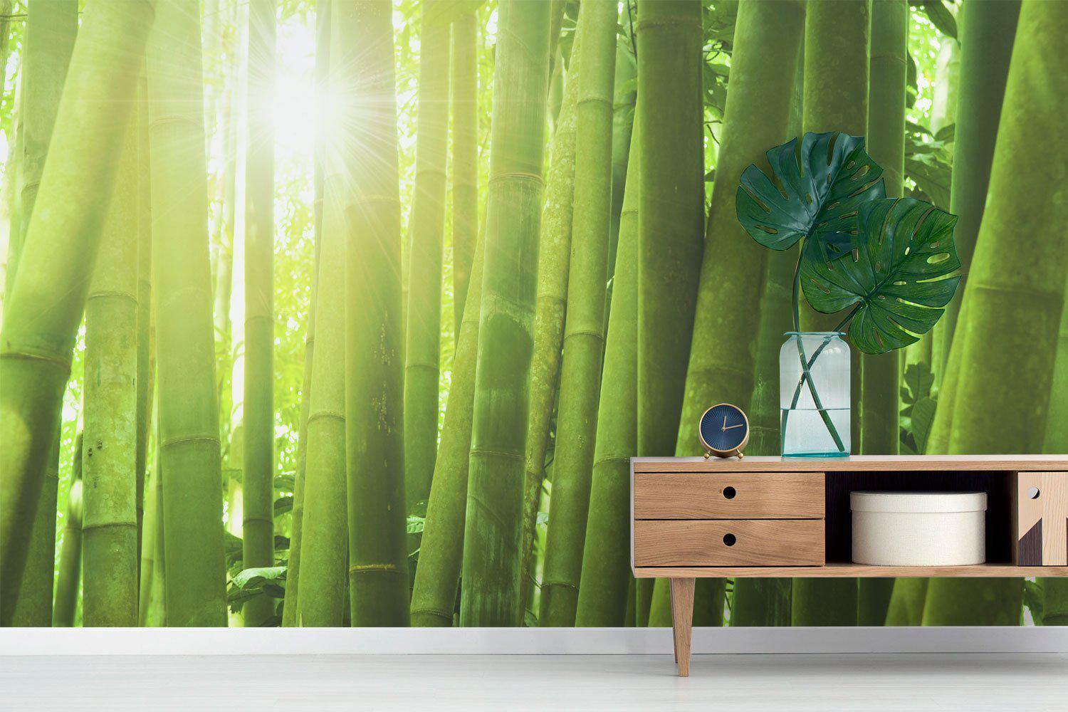 Bamboo forest with morning sunlight wall Mural Wall Mural-Wall Mural-Eazywallz