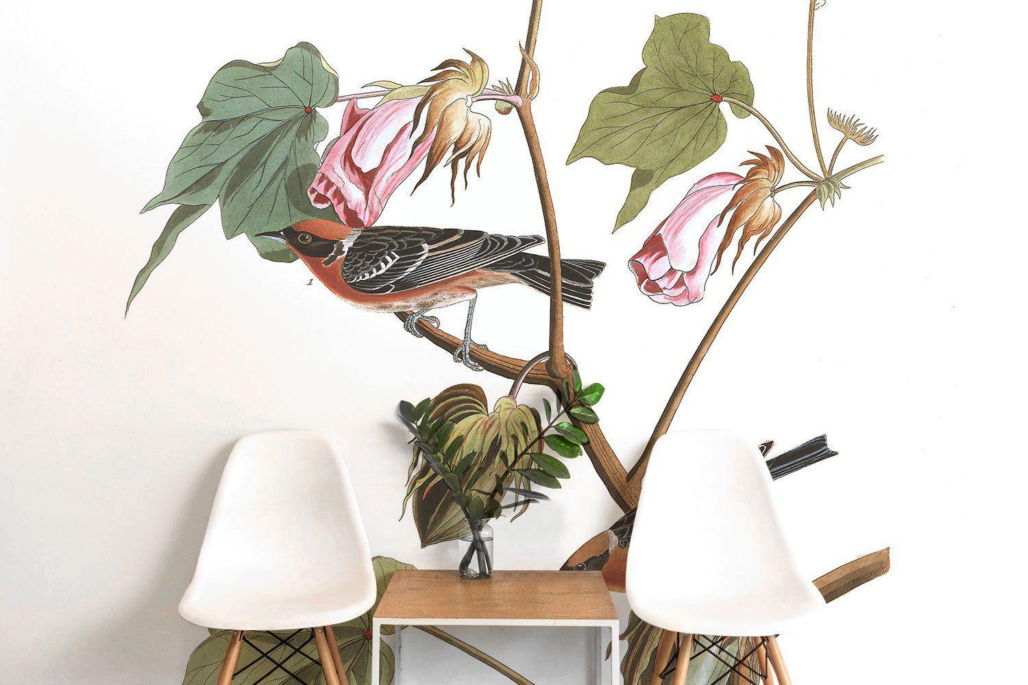 Bay Breasted Warbler Bird Wall Mural-Wall Mural-Eazywallz