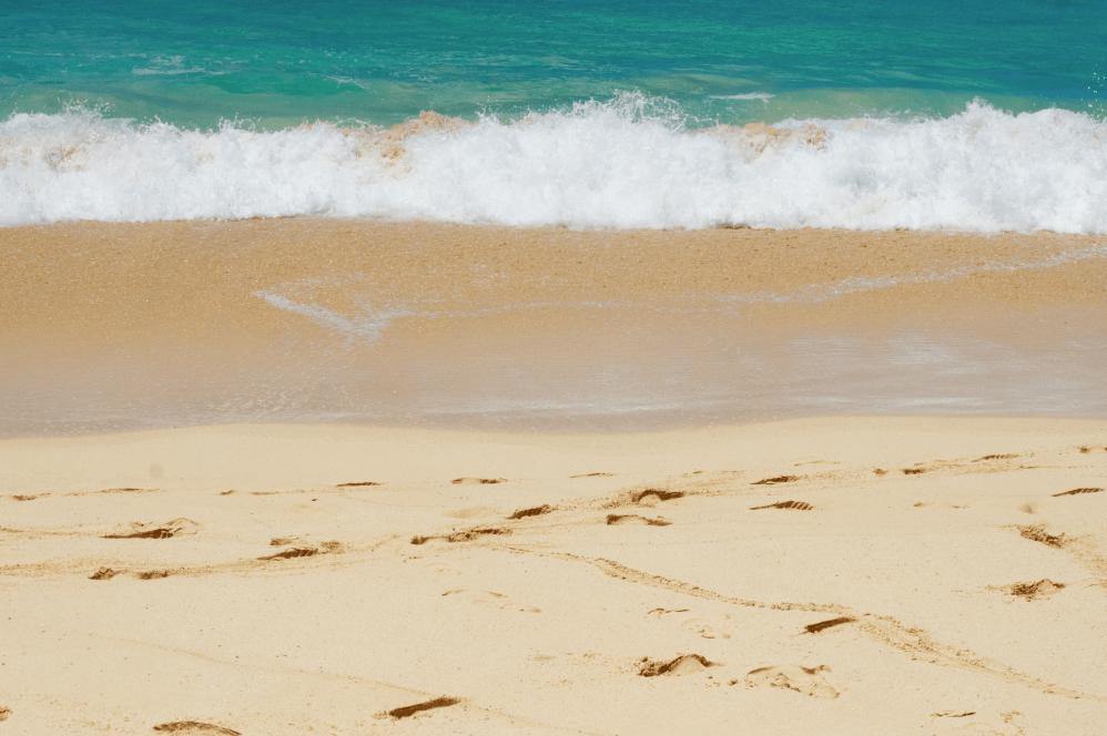 Beach Shore Close up Wall Mural-Wall Mural-Eazywallz