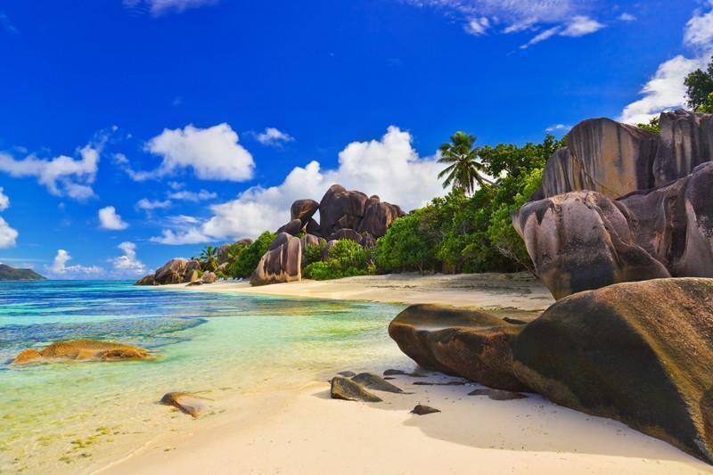 Beach in Seychelles Wall Mural-Wall Mural-Eazywallz