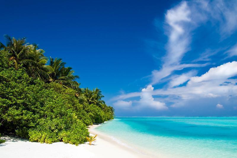 Beautiful tropical beach Wall Mural-Wall Mural-Eazywallz