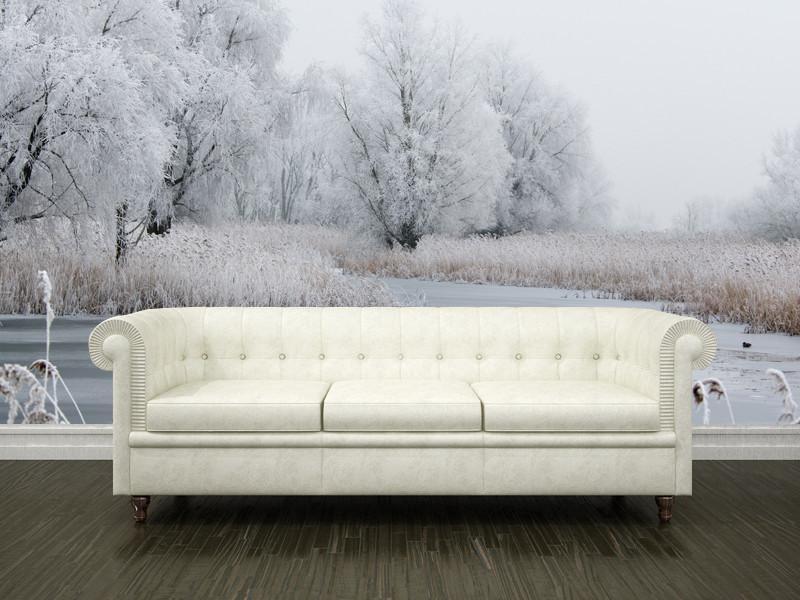 Beautiful winter landscape Wall Mural-Wall Mural-Eazywallz
