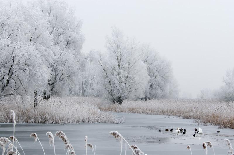 Beautiful winter landscape Wall Mural-Wall Mural-Eazywallz