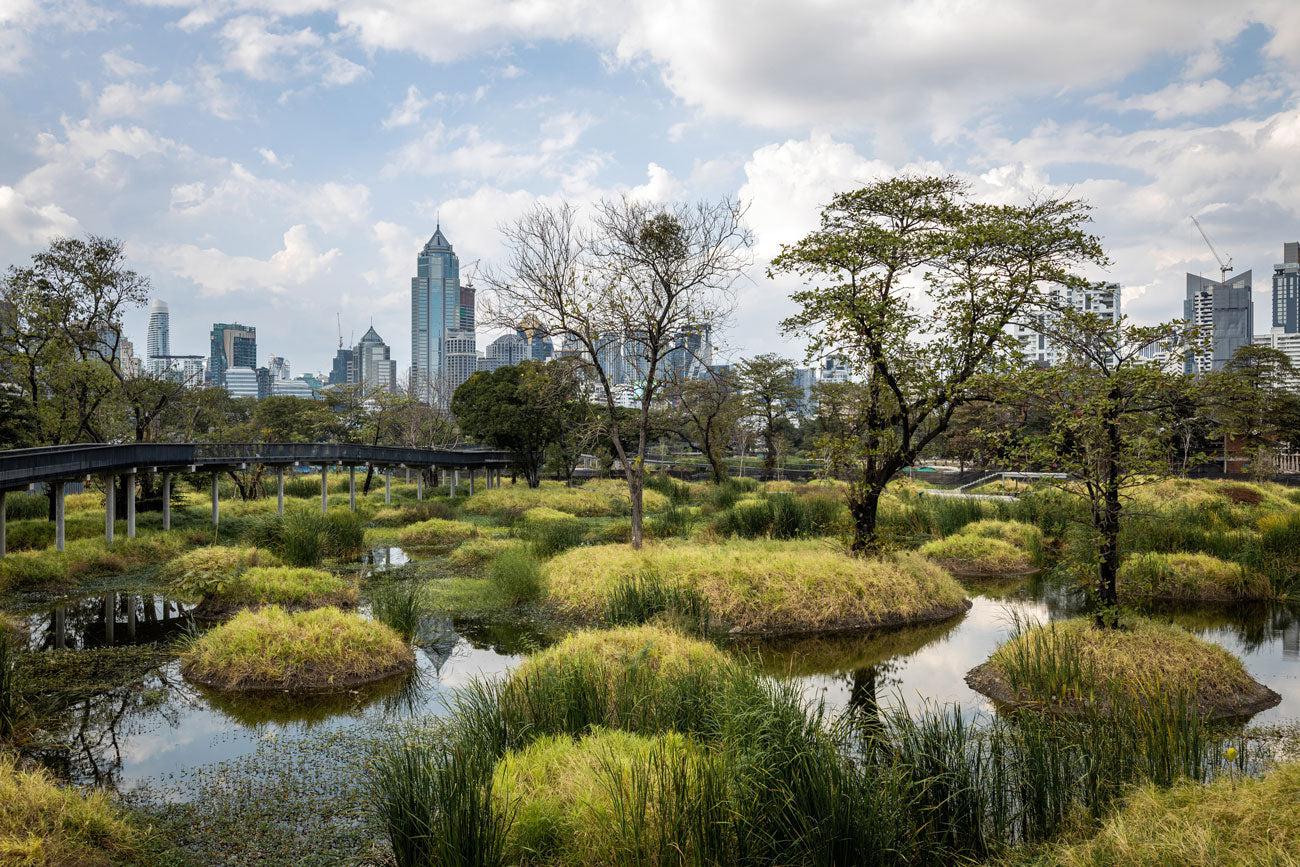 Benjakitti Forest Wall Mural-Wall Mural-Eazywallz