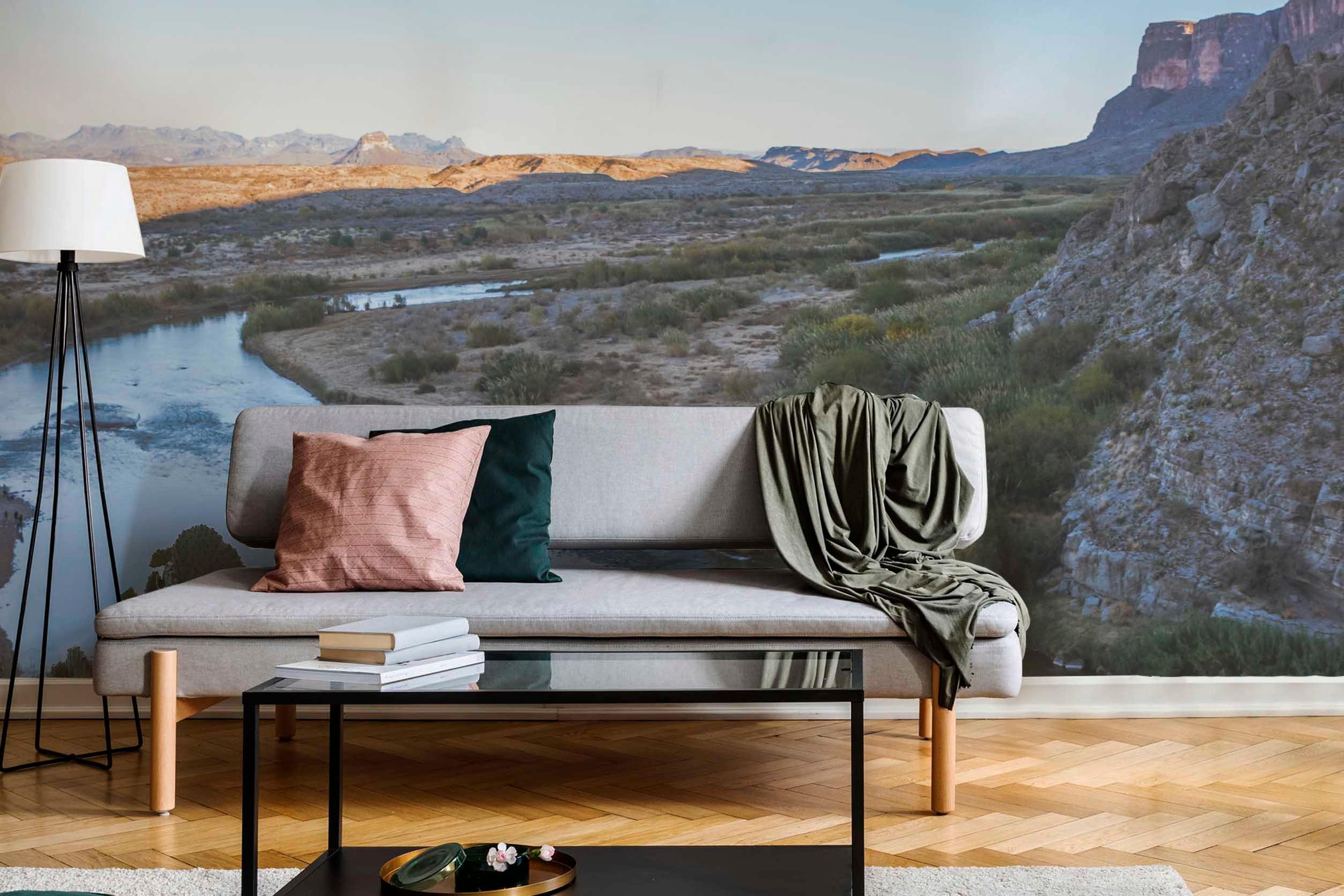 Big Bend National Park Wall Mural-Wall Mural-Eazywallz