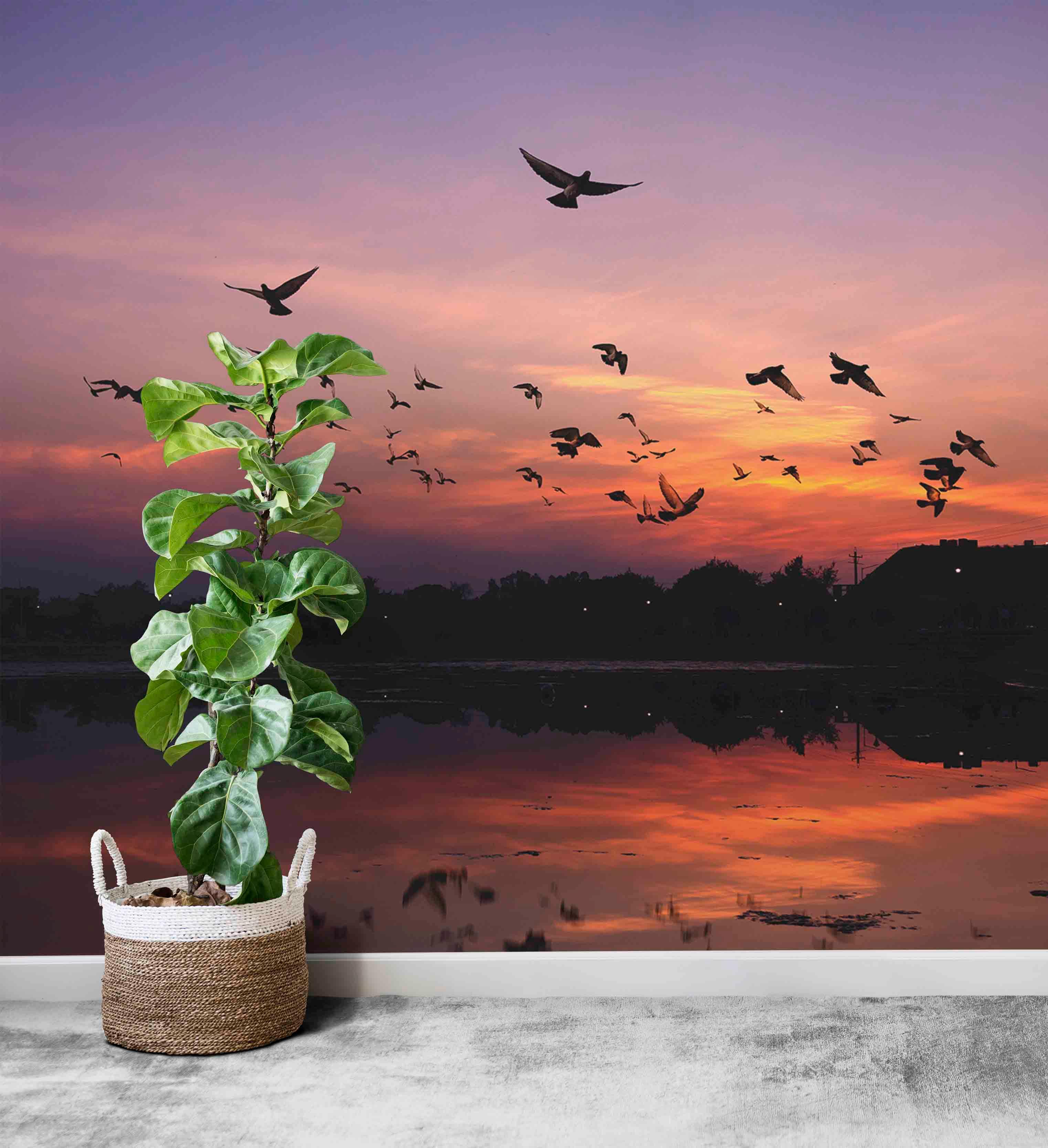 Birds at Sunset Wall Mural-Wall Mural-Eazywallz