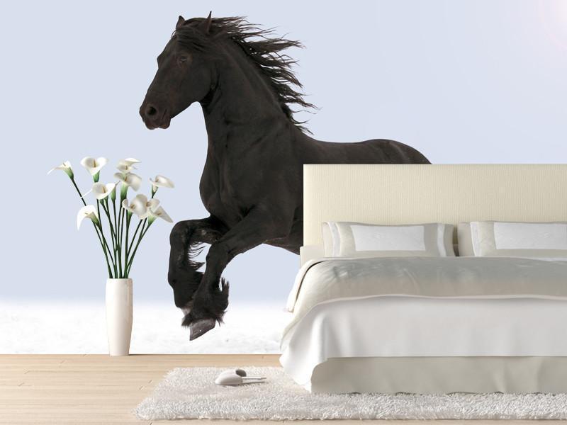 Black horse Wall Mural-Wall Mural-Eazywallz