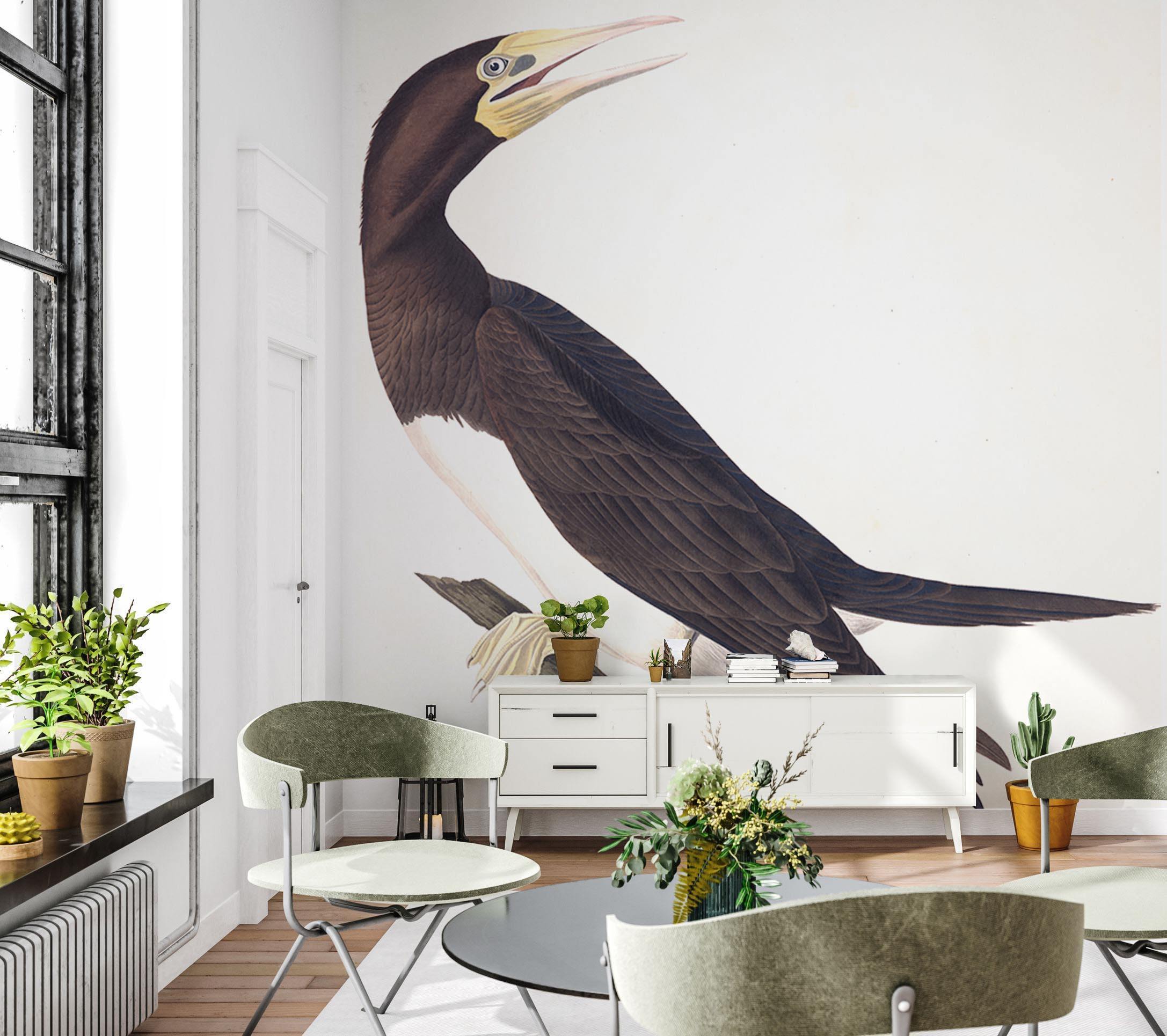 Booby Gannet Wall Mural-Wall Mural-Eazywallz