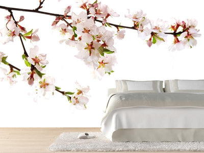 Branch of pink cherry blossoms Wall Mural-Wall Mural-Eazywallz
