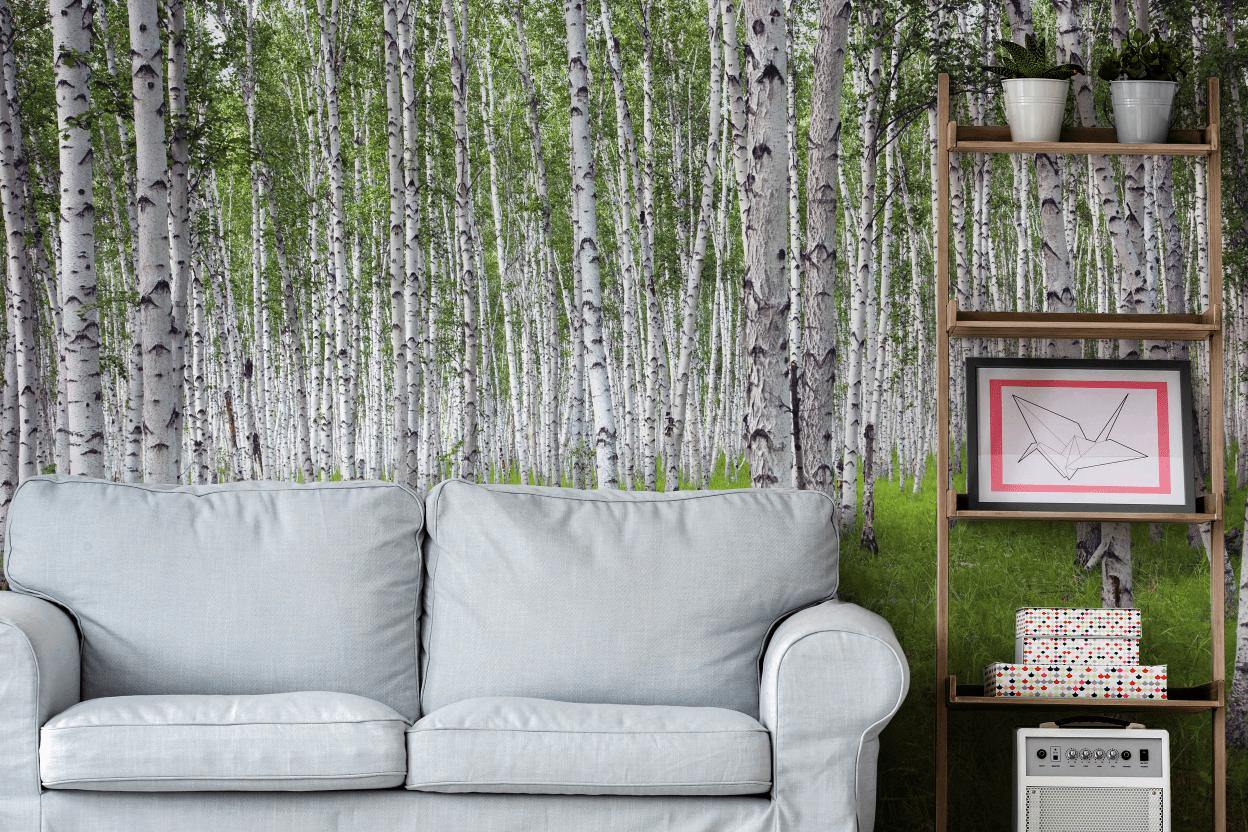 Bright Birch Forest Wall Mural-Wall Mural-Eazywallz