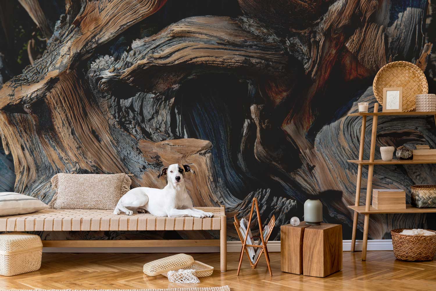 Bristlecone Tree Wall Mural-Wall Mural-Eazywallz