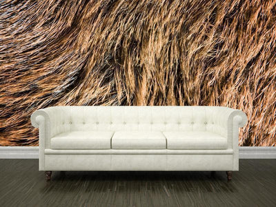 Brown bear fur texture Wall Mural-Wall Mural-Eazywallz