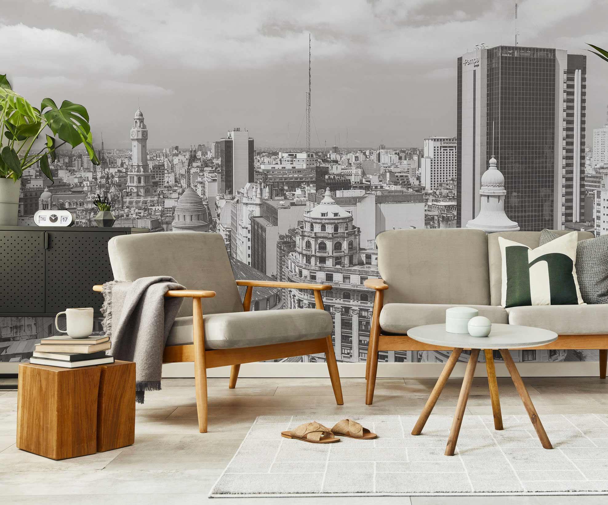 Buenos Aires City Wall Mural-Wall Mural-Eazywallz