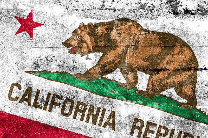 California Republic Graffiti Wall Mural-Wall Mural-Eazywallz