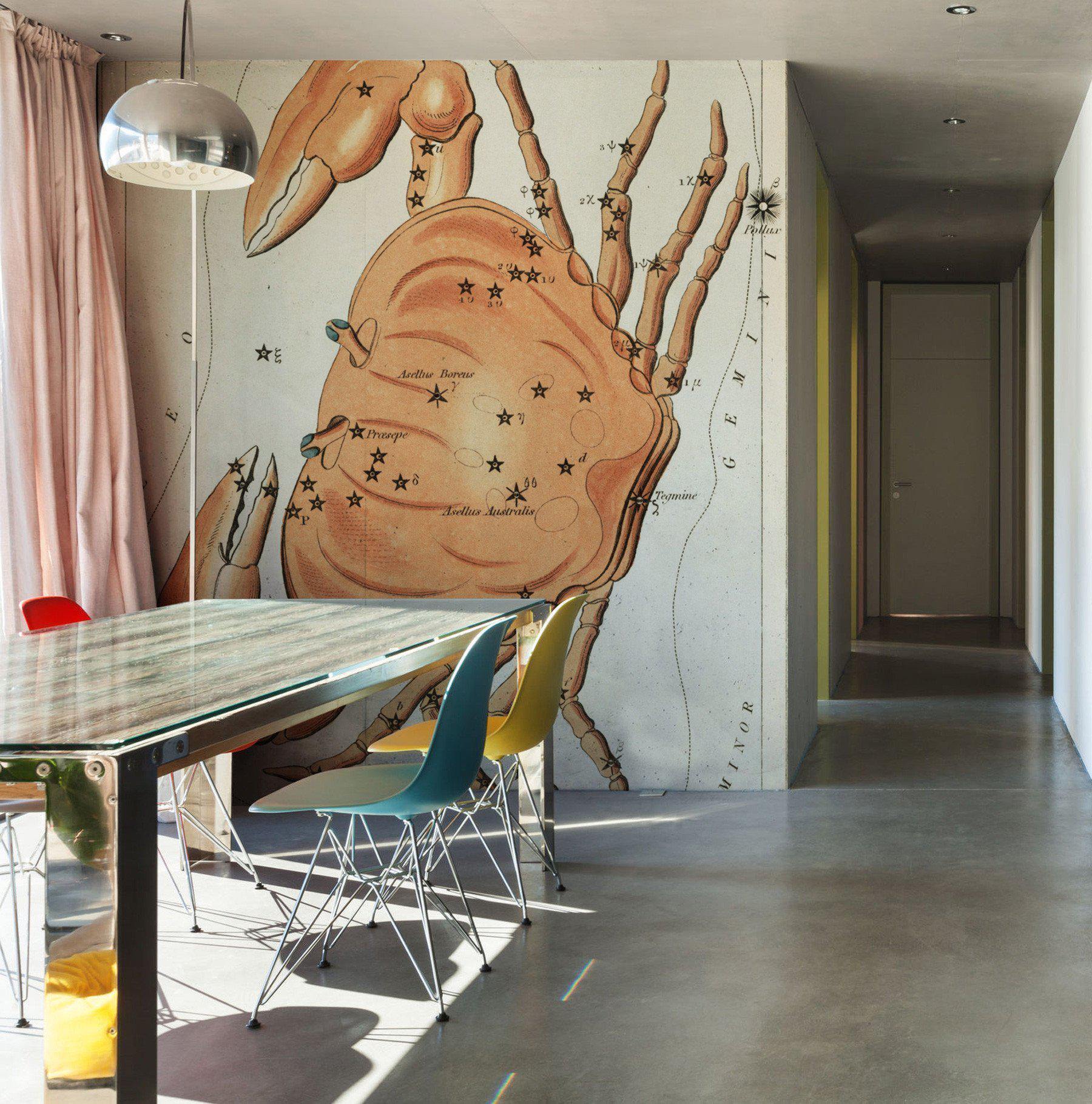 Cancer Sign Wall Mural-Wall Mural-Eazywallz