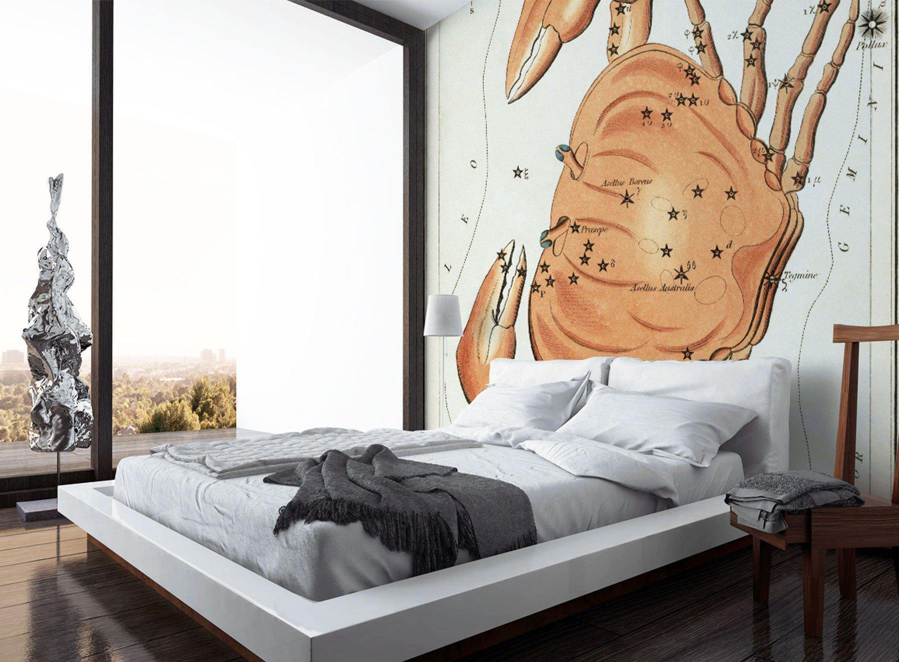 Cancer Sign Wall Mural-Wall Mural-Eazywallz