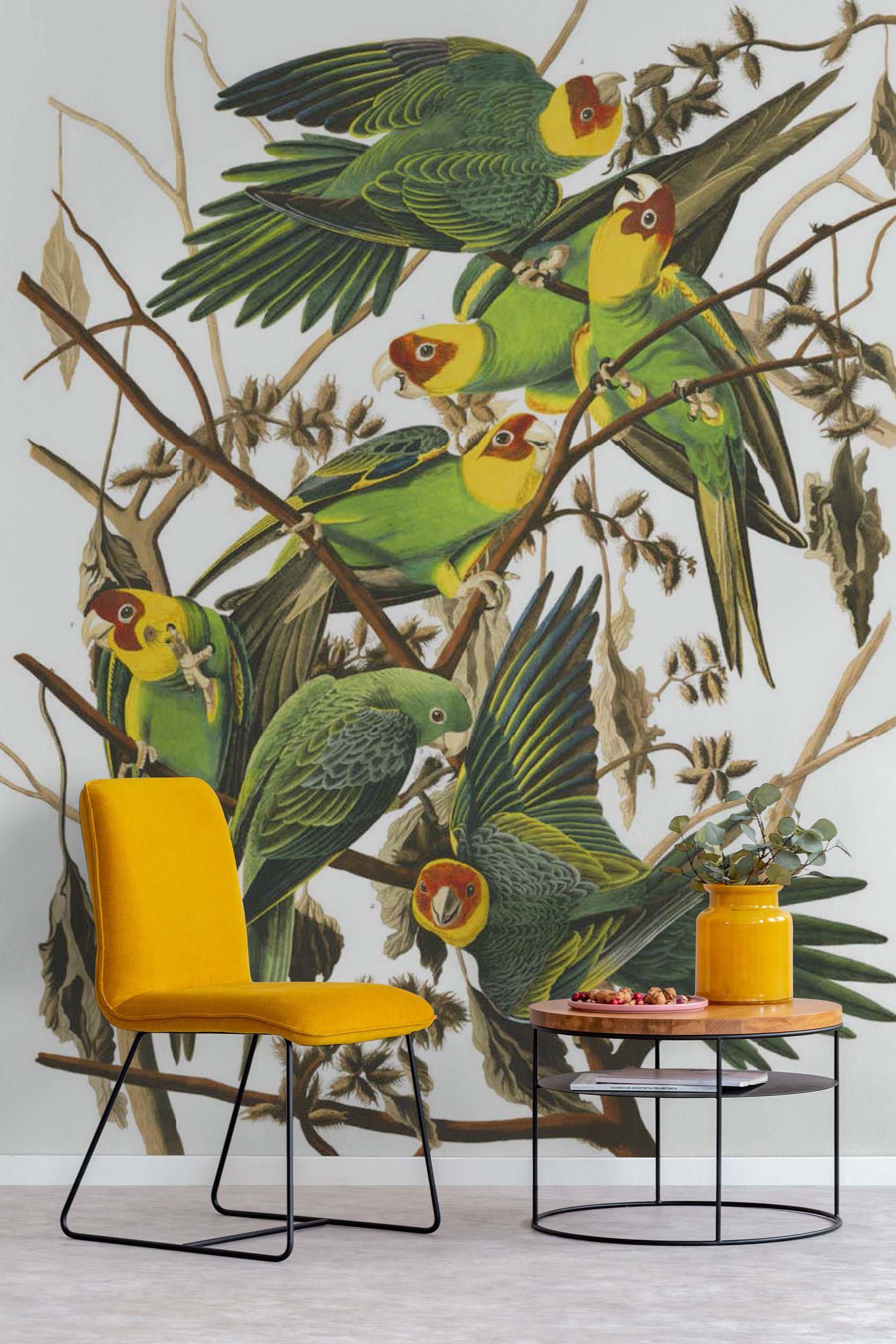 Carolina Parrots Wall Mural-Wall Mural-Eazywallz