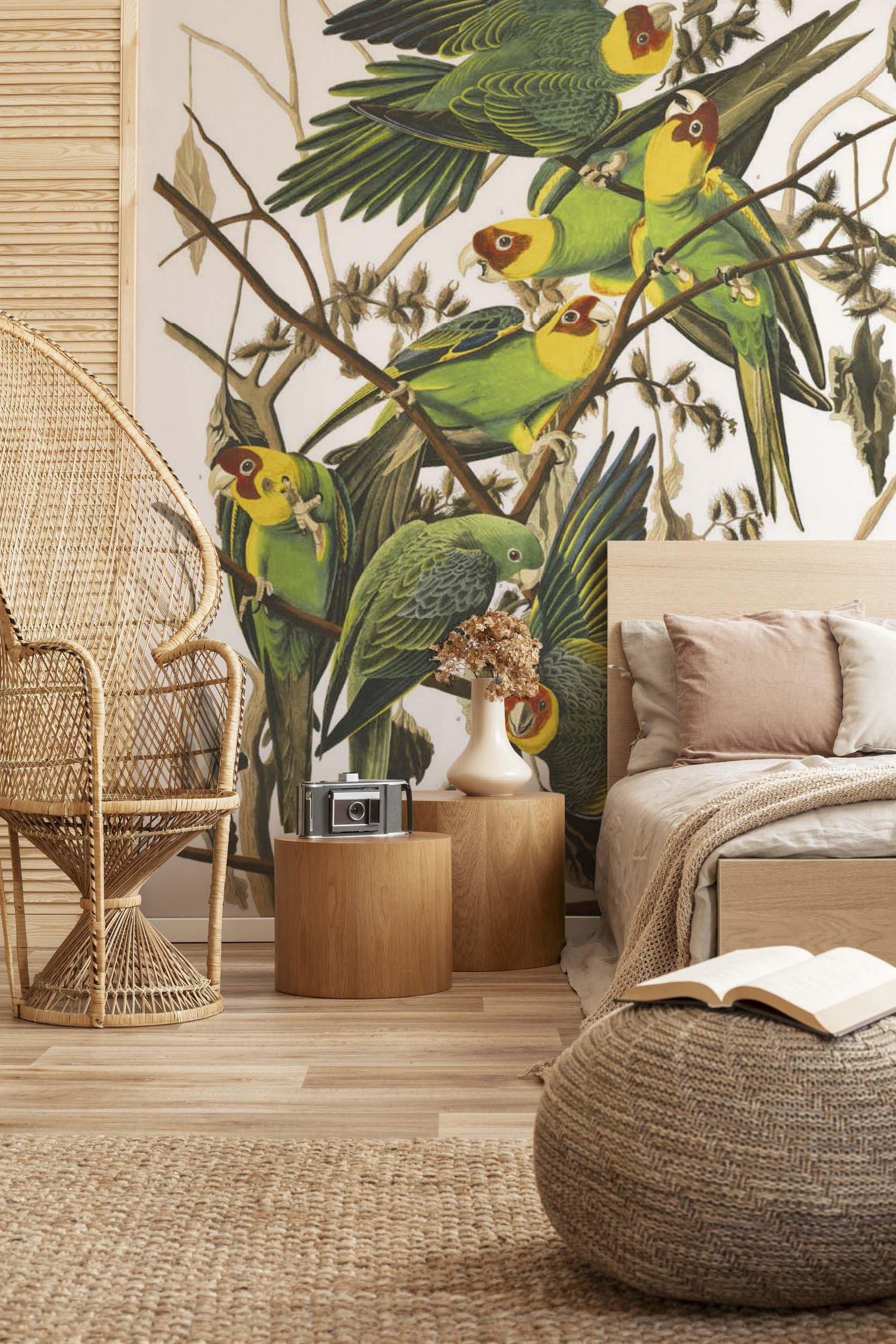 Carolina Parrots Wall Mural-Wall Mural-Eazywallz