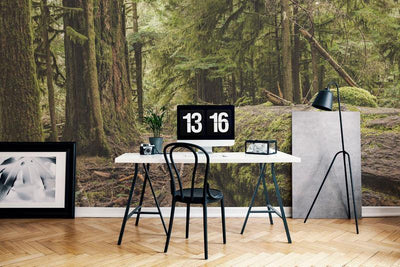 Cathedral Grove Forest Wall Mural-Wall Mural-Eazywallz