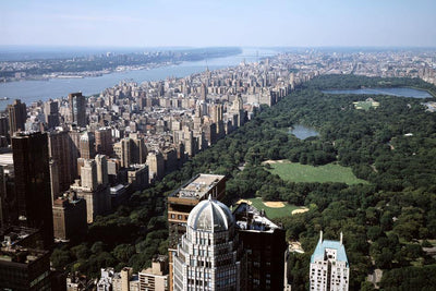Central Park Over View Wall Mural-Wall Mural-Eazywallz