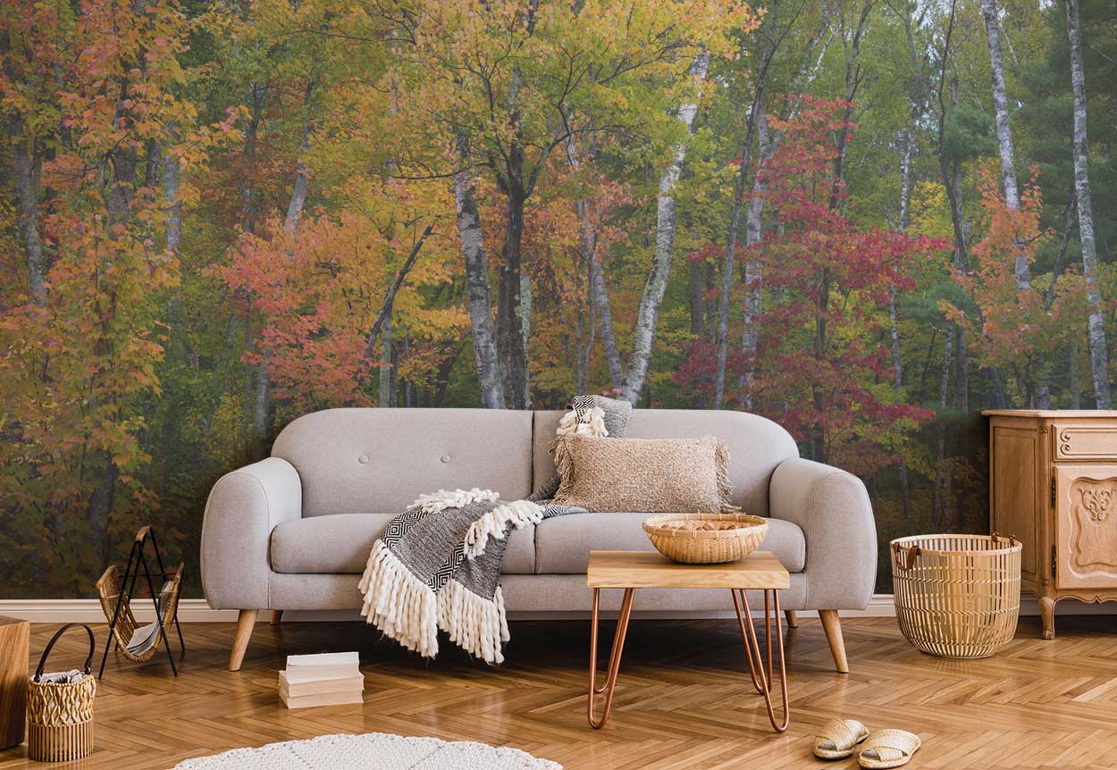 Chippewa National Forest Wall Mural-Wall Mural-Eazywallz