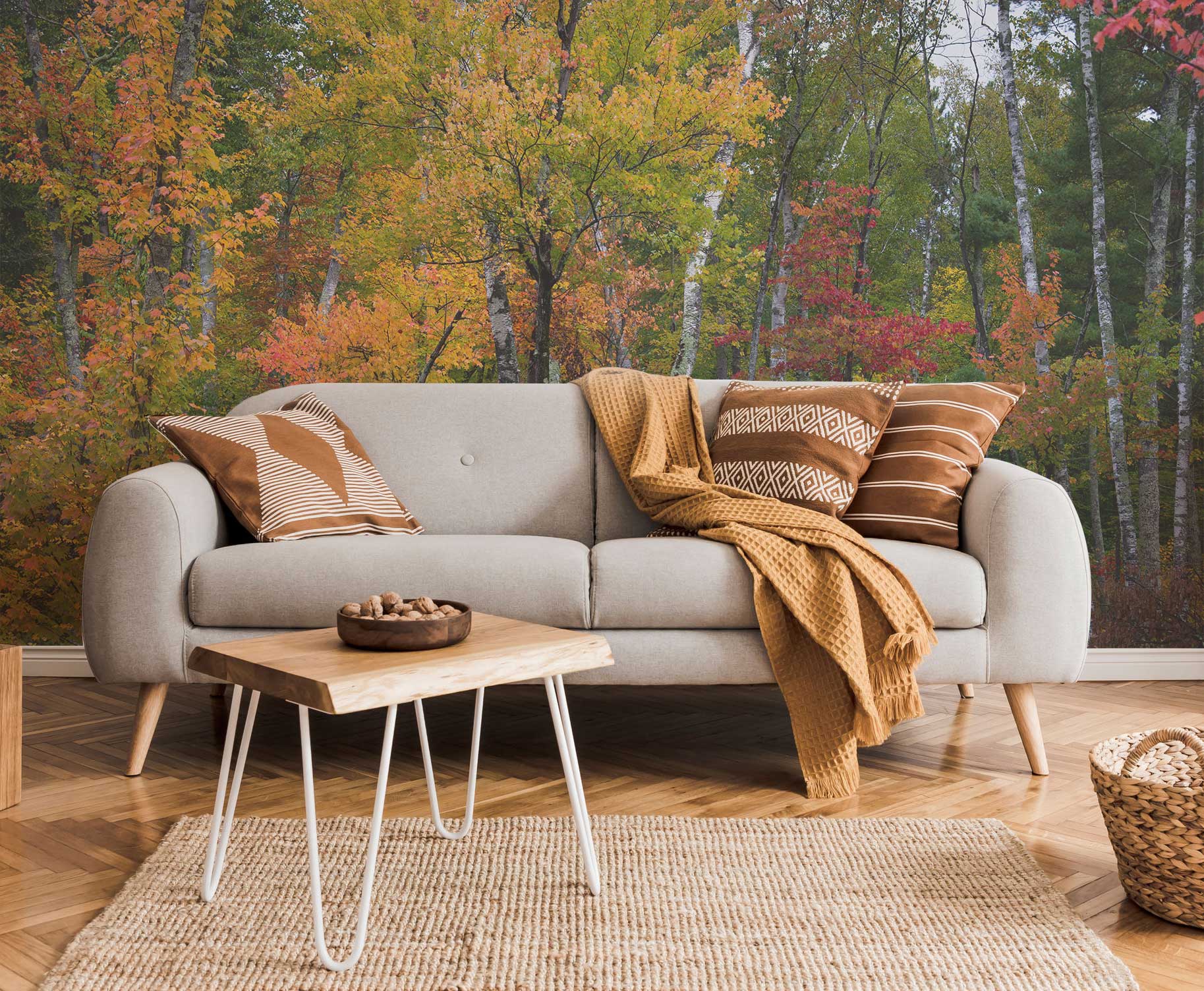 Chippewa National Forest Wall Mural-Wall Mural-Eazywallz