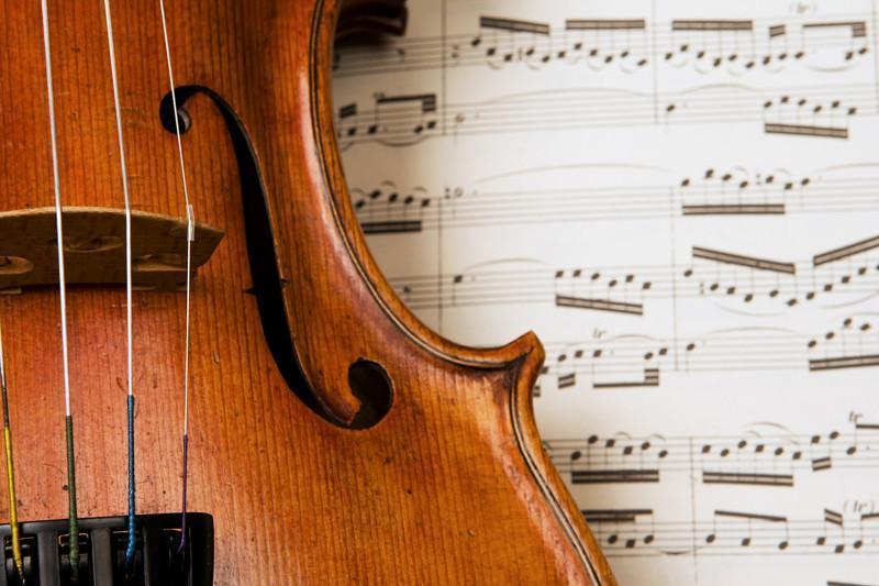 Closeup of a Violin Wall Mural-Wall Mural-Eazywallz