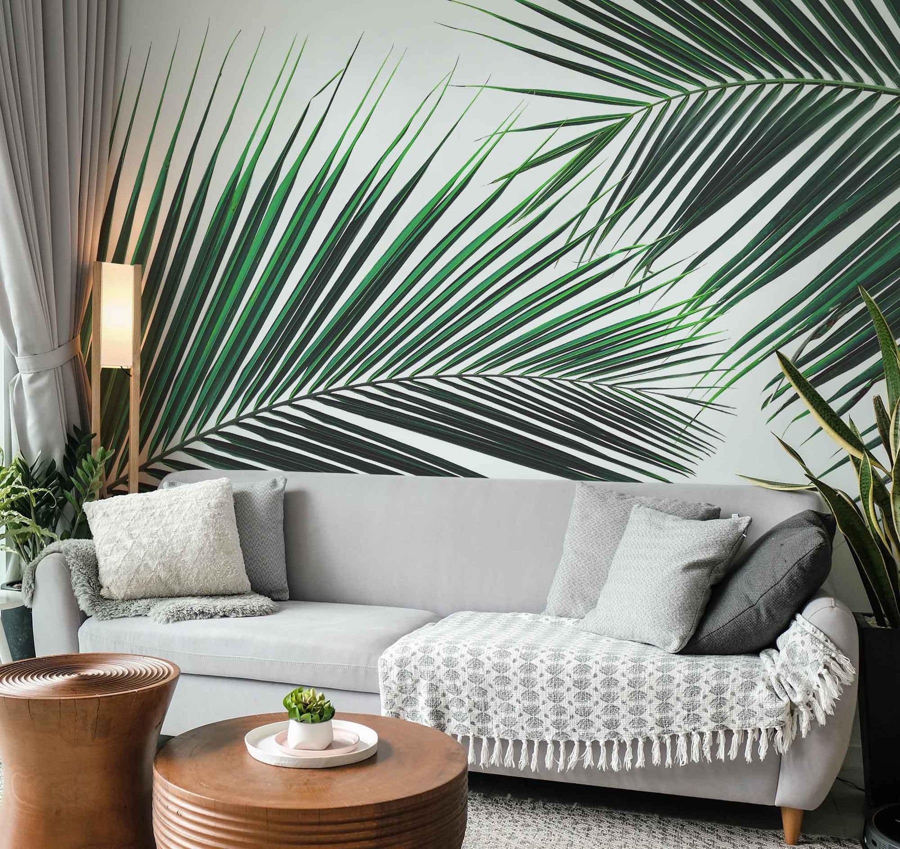 Coconut Palm Leaves Wall Mural | Tropical Removable Wallpaper | Eazywallz