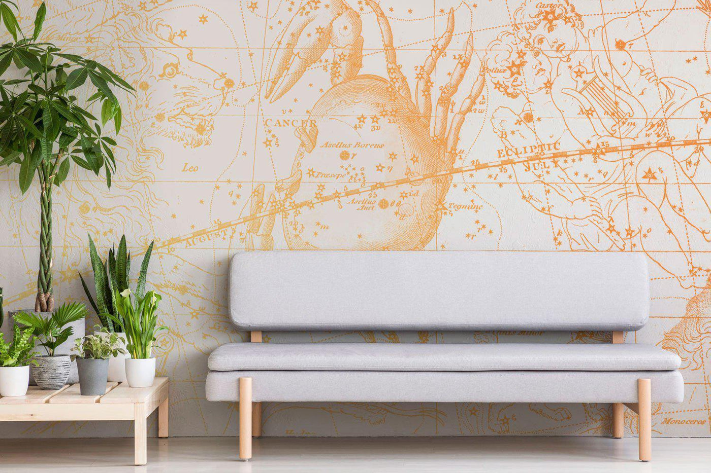 Coral Cancer Astrology Wall Mural-Wall Mural-Eazywallz