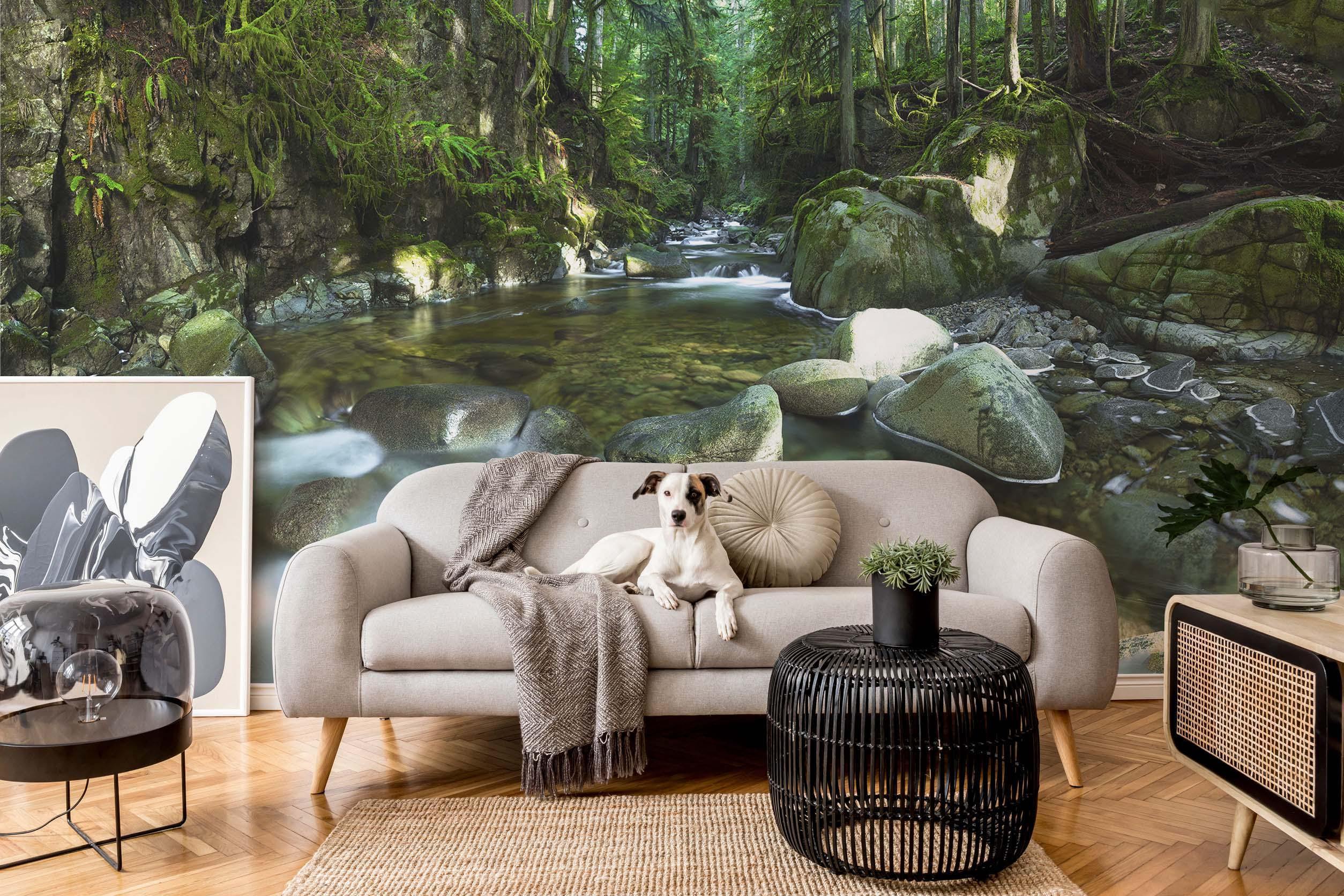 Cypress Creek Wall Mural-Wall Mural-Eazywallz