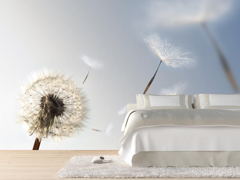 Dandelion blowing seeds in the wind Wall Mural-Wall Mural-Eazywallz