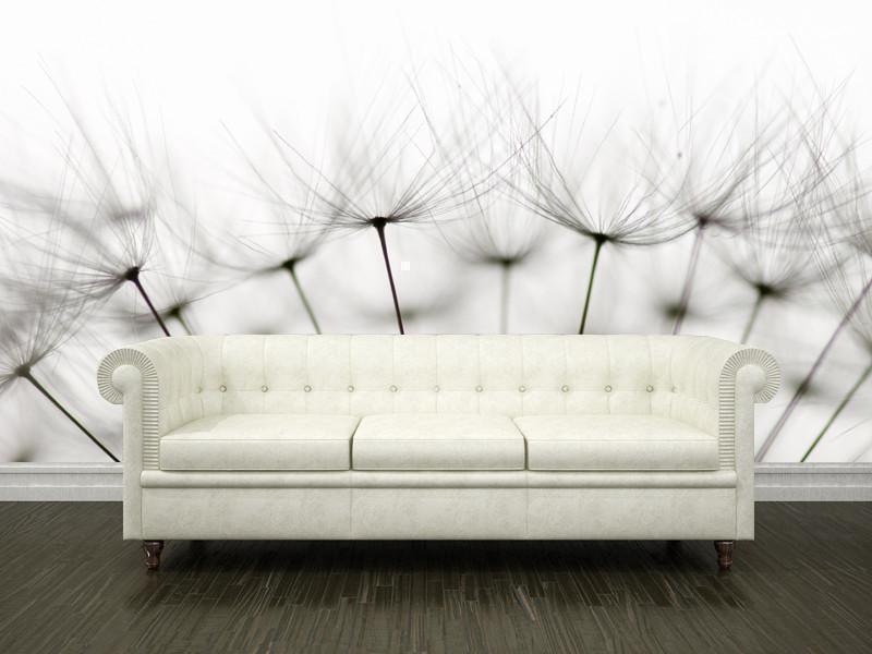 Dandelion seeds Wall Mural-Wall Mural-Eazywallz