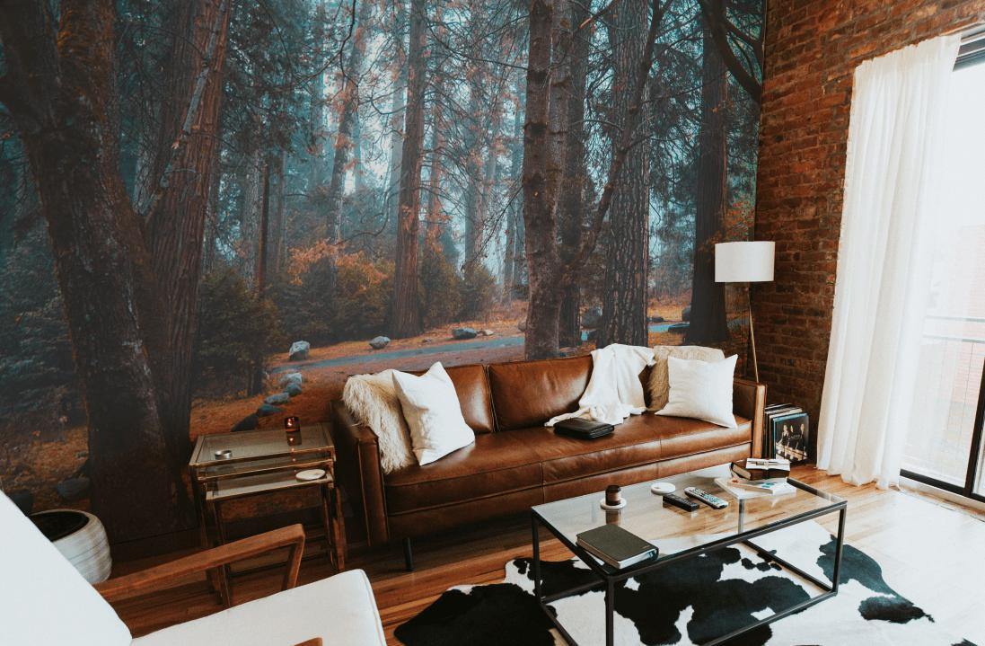 Dark Forest in Autumn Wall Mural-Wall Mural-Eazywallz