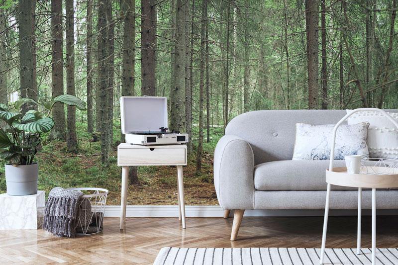 Deep Pine Forest Wall Mural-Wall Mural-Eazywallz