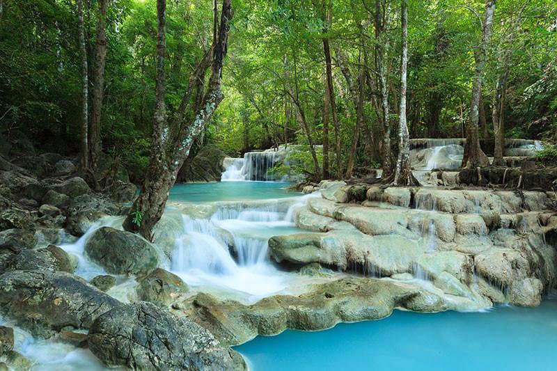 Deep forest waterfall Wall Mural-Wall Mural-Eazywallz