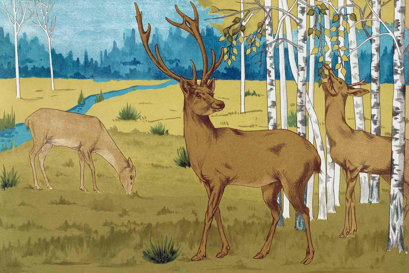 Deers Animal Art Decor Wall Mural-Wall Mural-Eazywallz