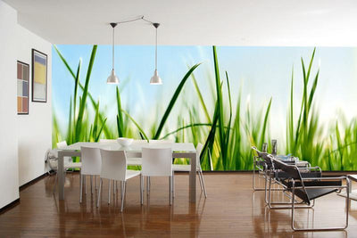 Delicate Grass Wall Mural-Wall Mural-Eazywallz
