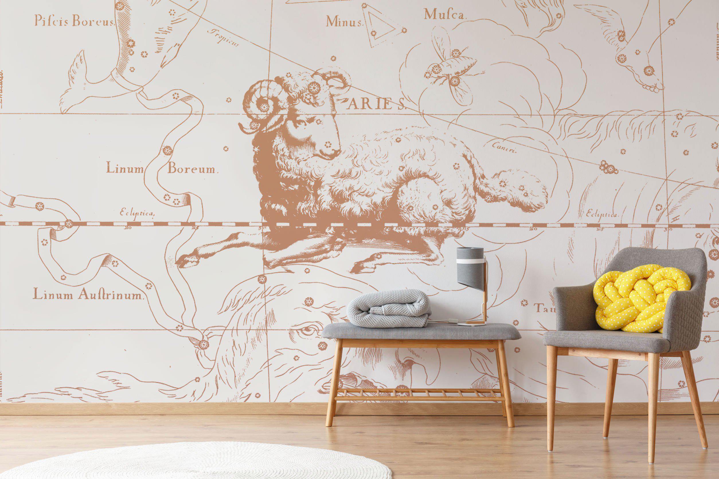 Desert Aries Astrology Wallpaper Mural-Wall Mural-Eazywallz