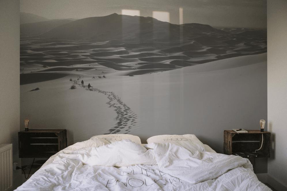 Desert Trail Wall Mural-Wall Mural-Eazywallz