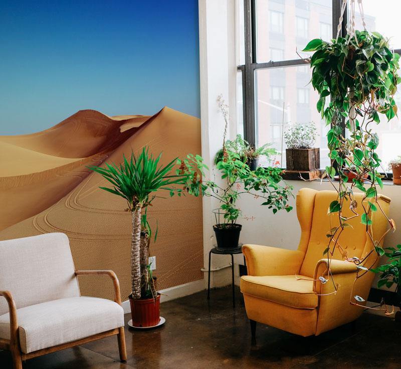 Desert Under Blue Sky Wall Mural-Wall Mural-Eazywallz