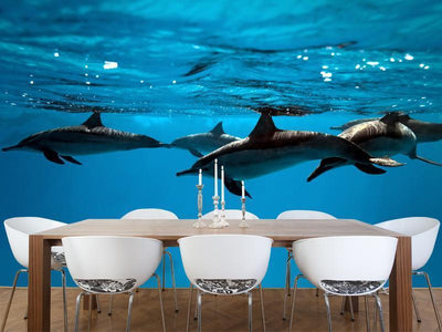 Dolphins in the sea Wall Mural-Wall Mural-Eazywallz
