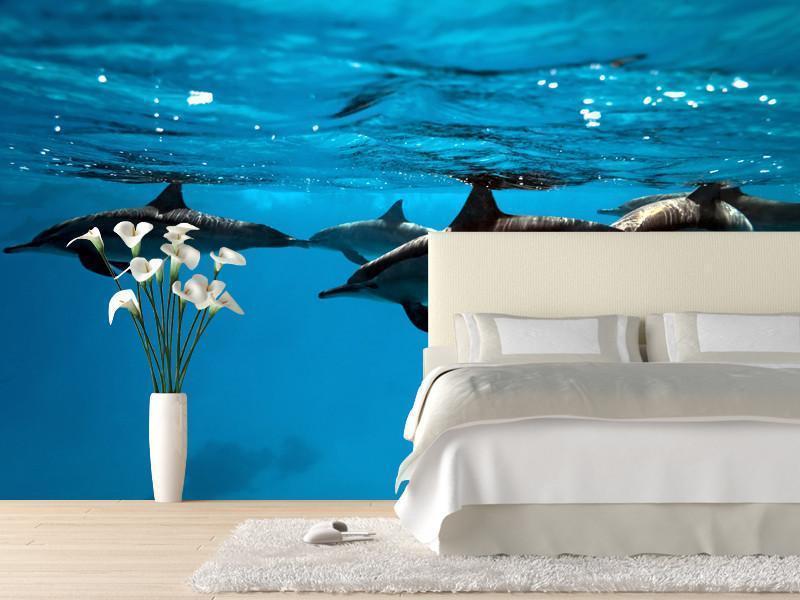 Dolphins in the sea Wall Mural-Wall Mural-Eazywallz