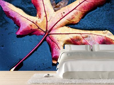 Dry Leaf on the Ground Wall Mural-Wall Mural-Eazywallz