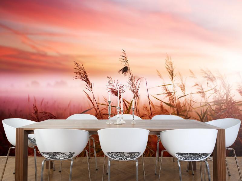 Early Morning Mist Wall Mural-Wall Mural-Eazywallz