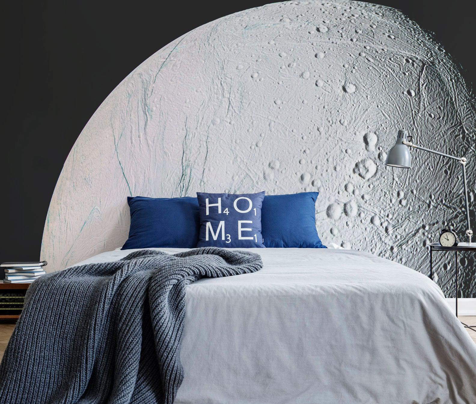 Enceladus Wall Mural-Wall Mural-Eazywallz