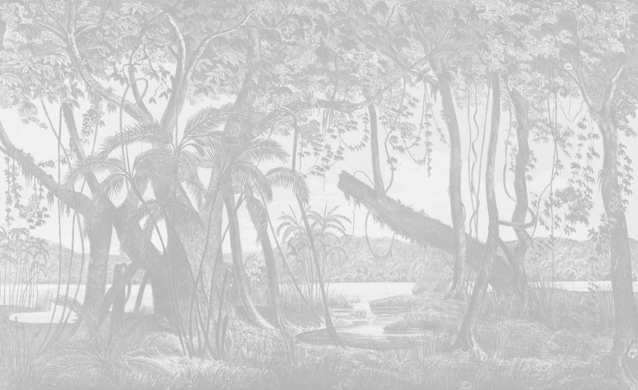 Faded Vintage Jungle Wall Mural-Wall Mural-Eazywallz