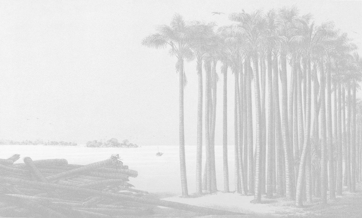 Faded Vintage Palm Tree Wall Mural-Wall Mural-Eazywallz