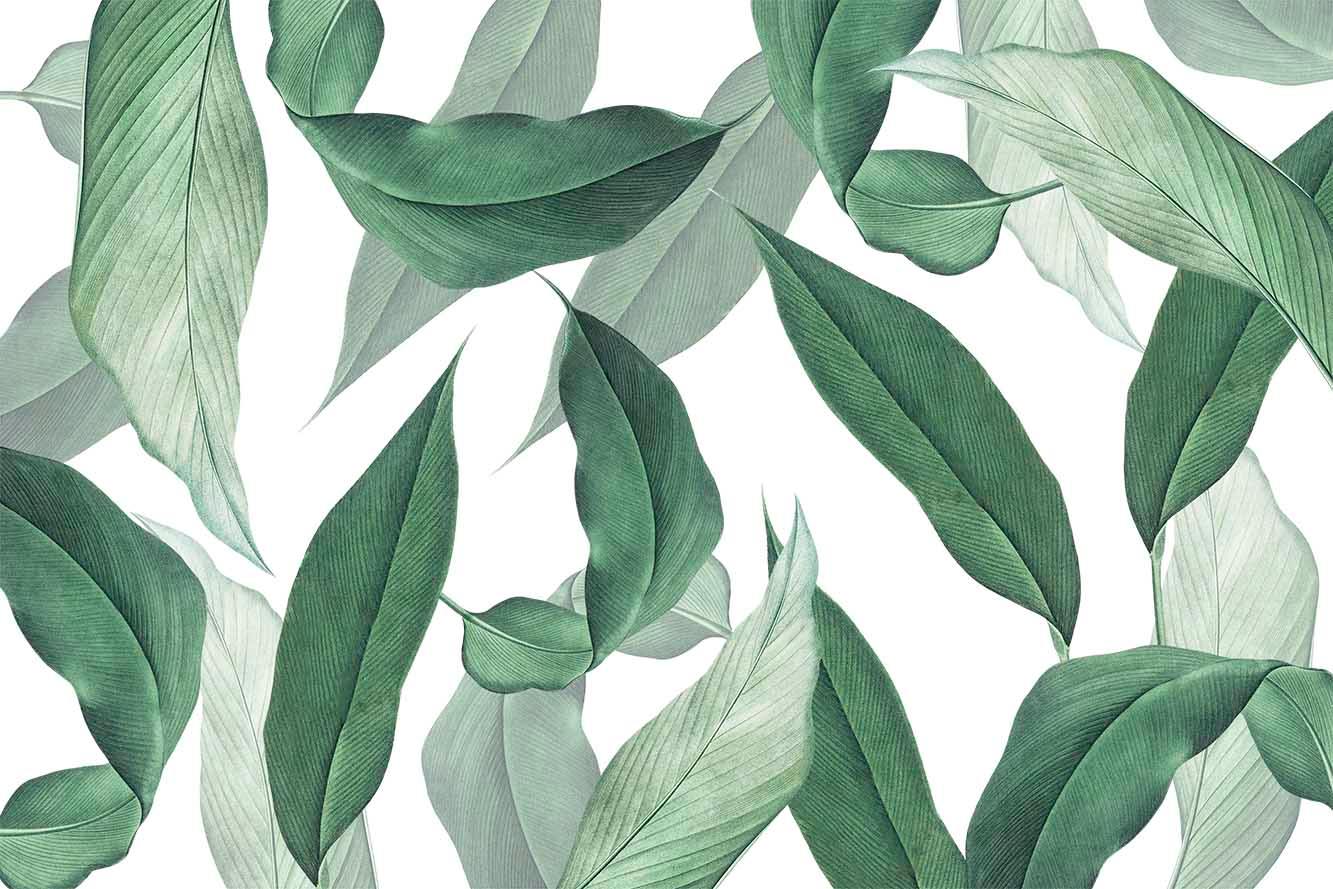 Falling Banana Leaves Wall Mural-Wall Mural-Eazywallz