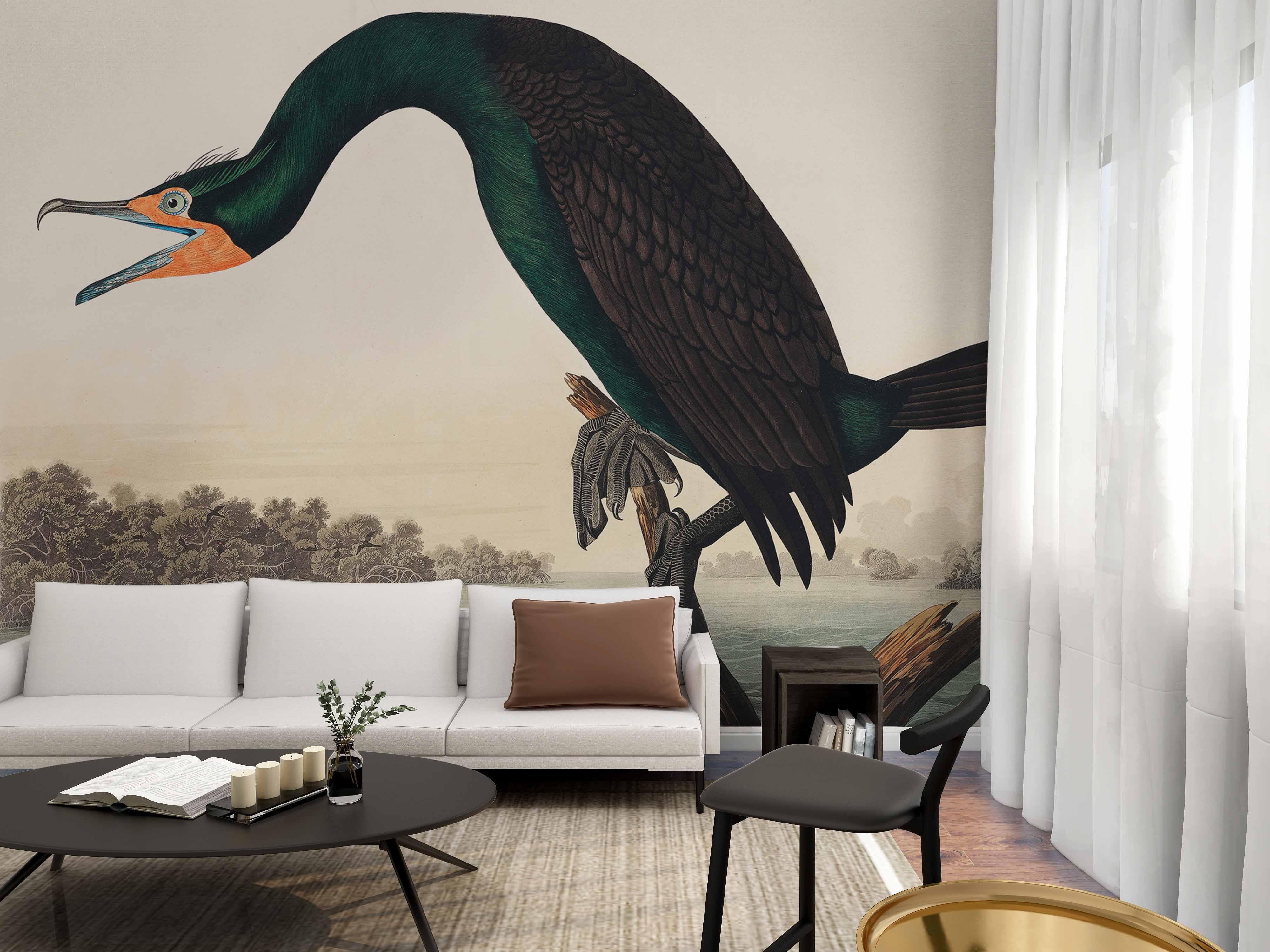 Florida Cormorant Wallpaper Mural-Wall Mural-Eazywallz
