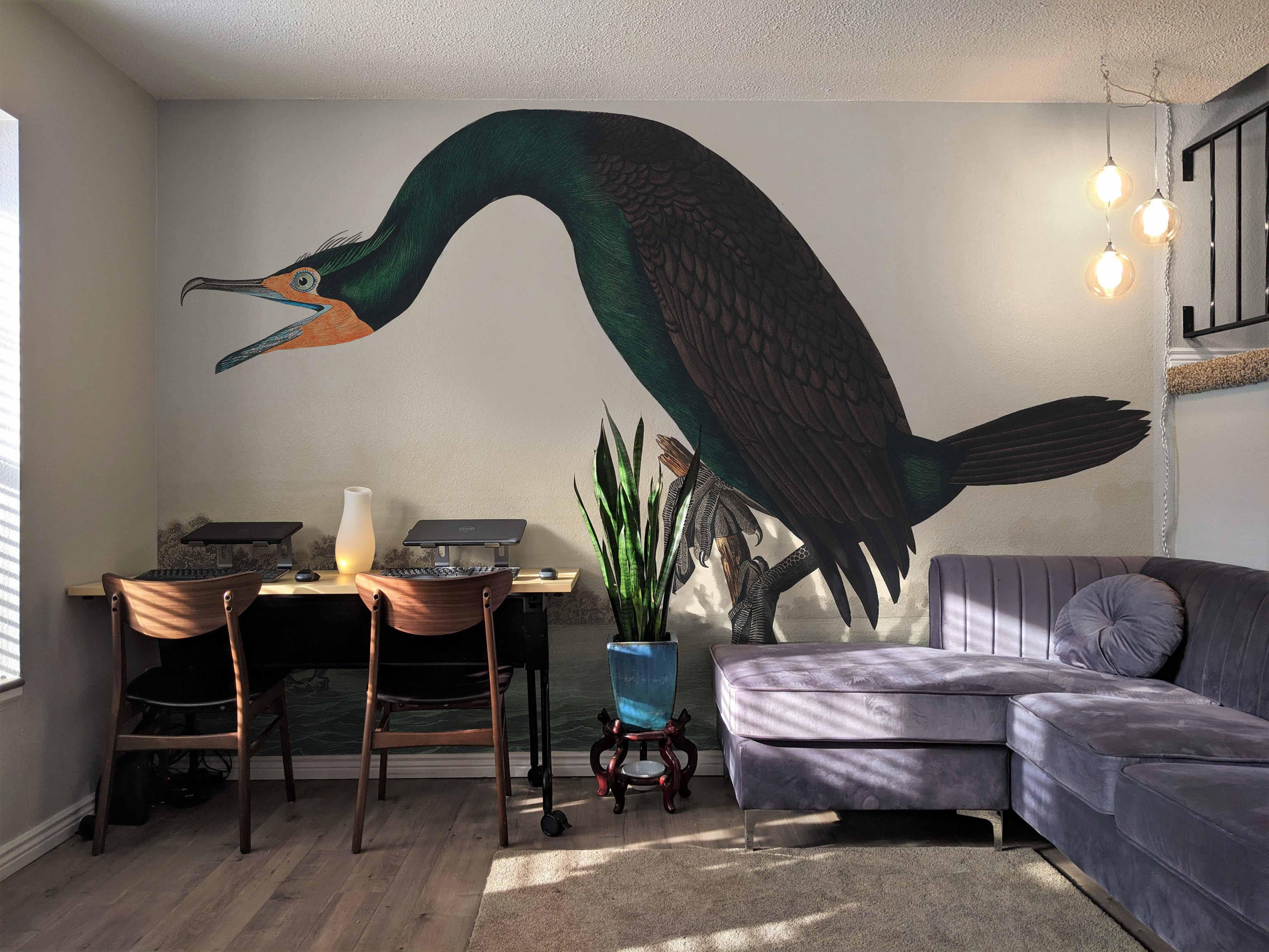 Florida Cormorant Wallpaper Mural-Wall Mural-Eazywallz